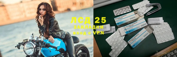 ГАЛЛЮЦИНОГЕННЫЕ ГРИБЫ Каменск-Шахтинский