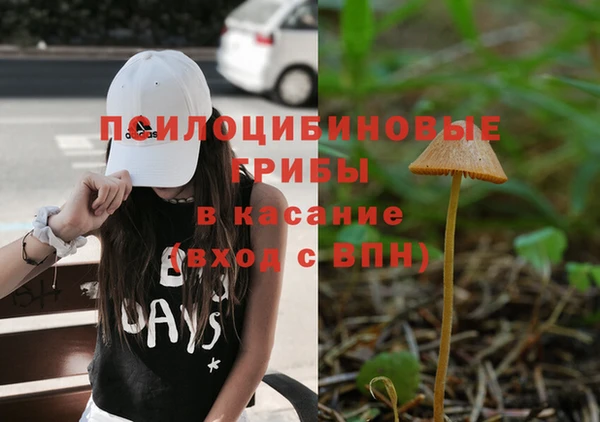 ГАЛЛЮЦИНОГЕННЫЕ ГРИБЫ Каменск-Шахтинский