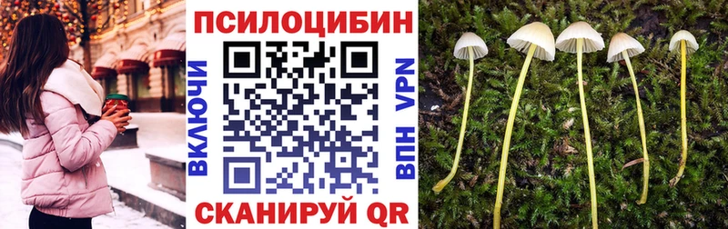 Купить закладки  Хотьково  Галлюциногенные грибы прущие грибы 